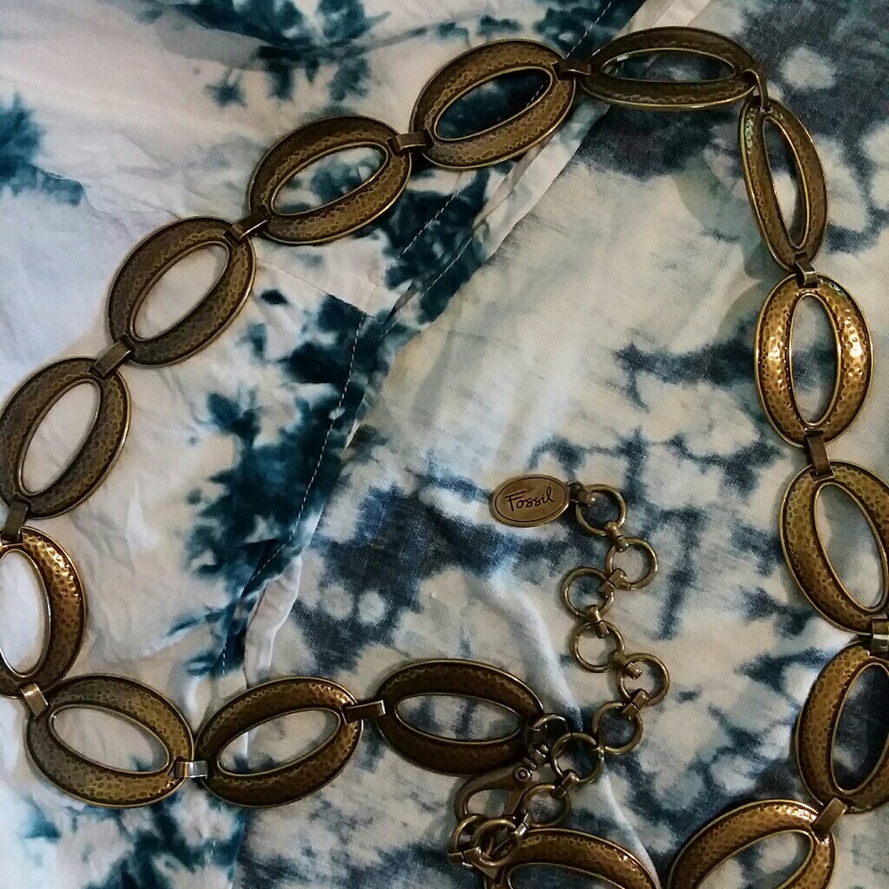 ~{ FOSSIL BELT }~